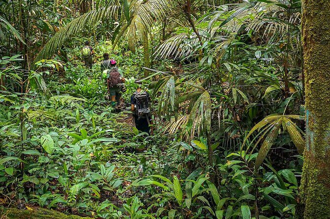 4 Days Deep Jungle Experience - What Makes This Tour Stand Out?