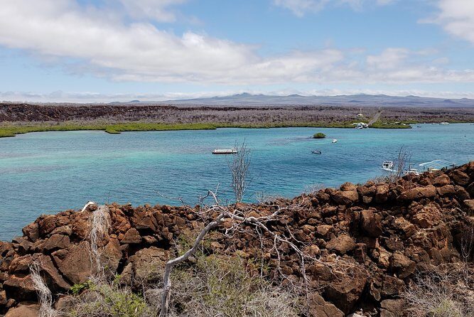 4 Days Galápagos - Isabela Islands and Santa Cruz - An In-Depth Look at the 4-Day Galápagos Tour