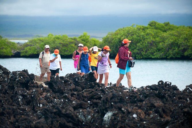4 Days Galápagos - Isabela Islands and Santa Cruz - Real Travelers’ Perspectives