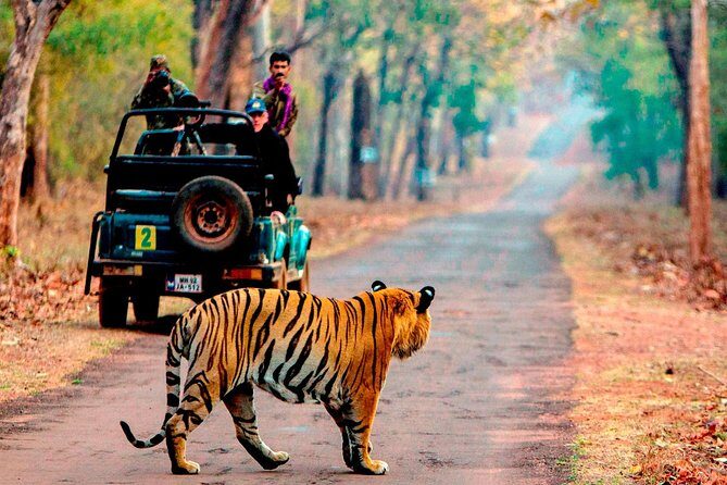 4 Days Golden Triangle Tour with Ranthambore from Delhi - The Sum Up