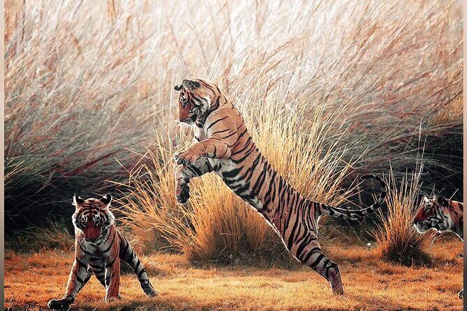 4 Days Guided Jaipur, Ranthambore Tigers & Udaipur Tour With Safari & Hotels - FAQ