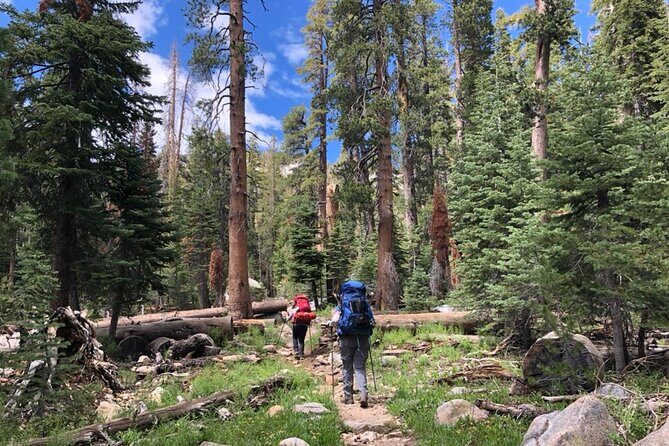 4 Days Guided Yosemite Half Dome Tour - Considerations for Potential Participants