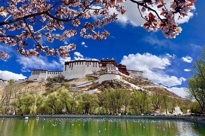 4 Days Lhasa Impression Small Group Tour - Who Should Consider This Tour?