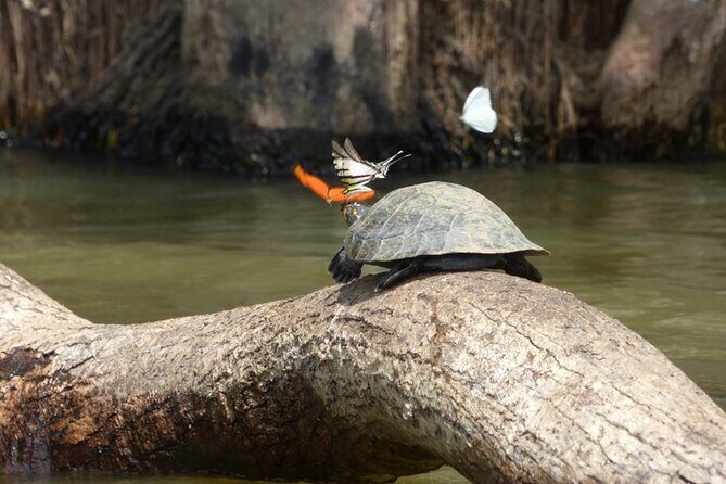 4 Days- Manu Peruvian Jungle - Key Points