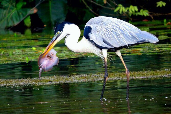 4 Days- Manu Peruvian Jungle - Frequently Asked Questions