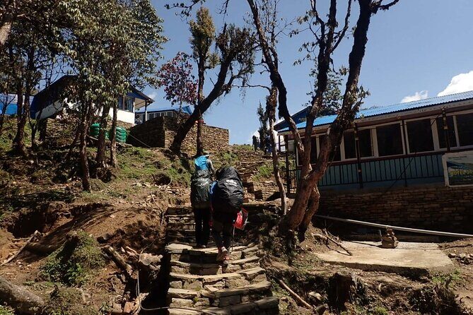 4 Days Mardi Himal Base Camp Trek from Pokhara - Final Thoughts