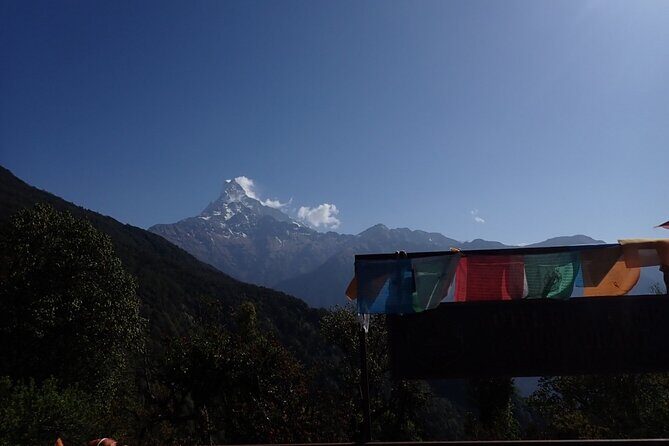 4 Days Mardi Himal Base Camp Trek from Pokhara - Additional Resources