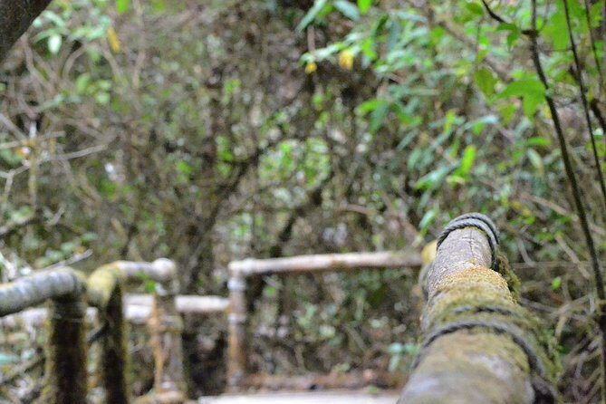 4 days Package Northern Charms. - Why This Tour Works for You