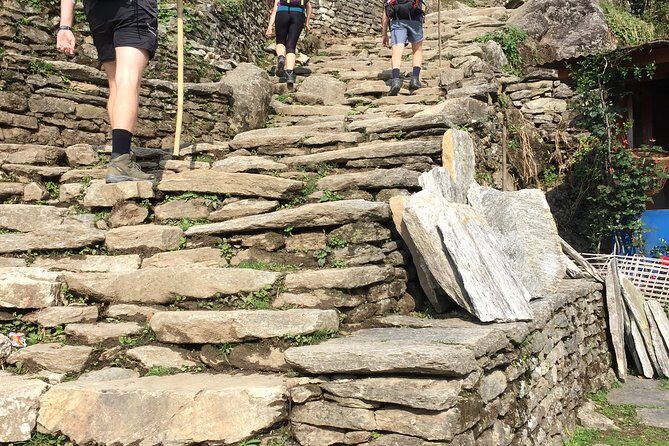 4 Days Poon Hill Trek from Pokhara - Key Points