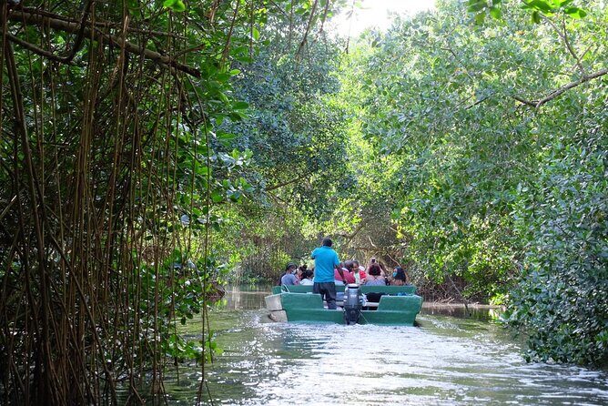 4 Days Shared Tour Around Trinidad - Key Points