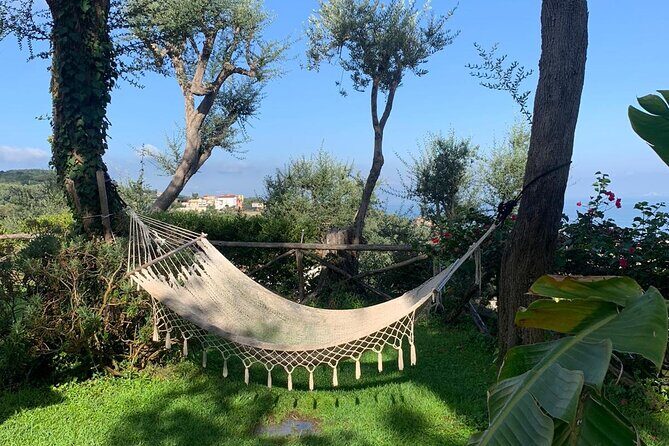 4 Days South Italy Trip - Amazing Experience in Sorrento & Amalfi Coast - FAQ