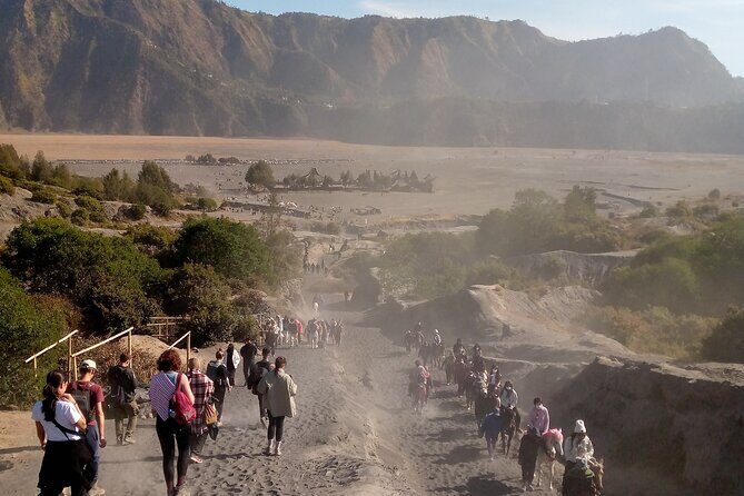 4 Days Tour From Yogya Tumpaksewu Bromo Ijen - Authentic Experiences and Traveler Favorites