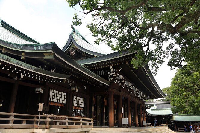 4 Days Tour in Tokyo, Mt. Fuji, Hakone, Yokohama and Kamakura - Who Is This Tour Best For?