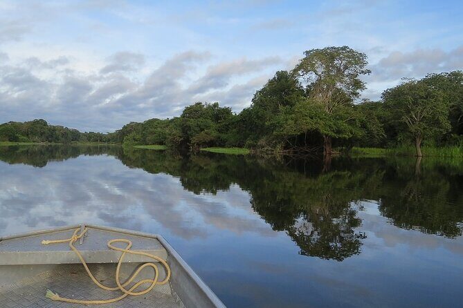 4 Days Tour to Tambopata National Reserve - An In-Depth Look at What This Tour Offers