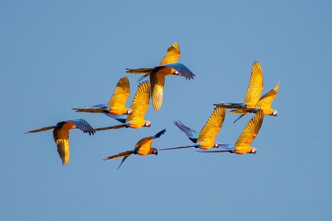 4 Days Tour to Tambopata National Reserve - FAQ