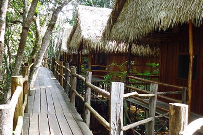 4-Days Unique Experience at Amazon Lodge, immersion on a Jungle Adventure - Exploring the Four-Day Amazon Jungle Tour in Detail
