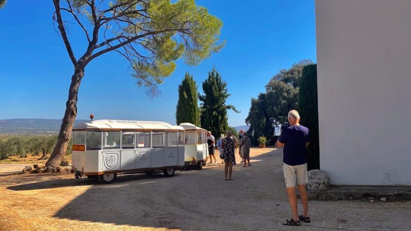 4-days wine trip to Valencia & Requena! 16/9 - 20/9 - 2025 - Experience the Flavors of Spain: 4-Day Wine Trip to Valencia & Requena