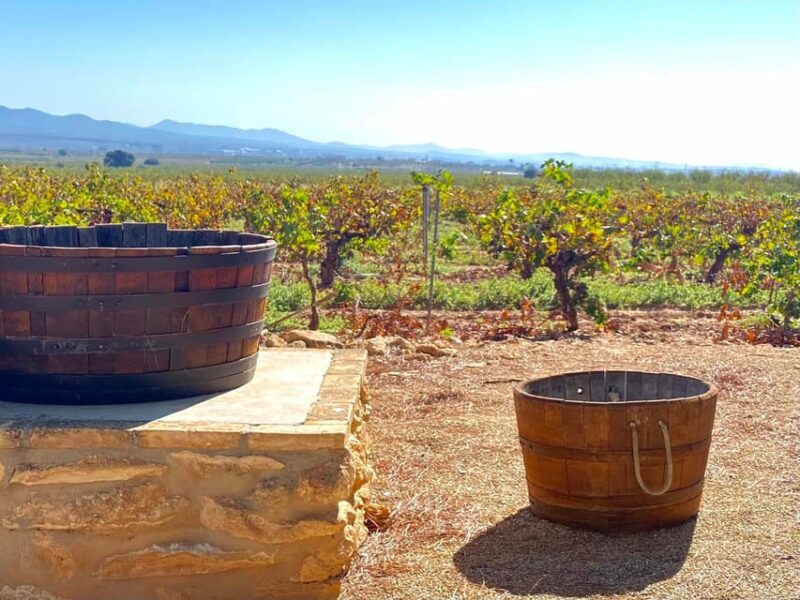 4-days wine trip to Valencia & Requena! 16/9 - 20/9 - 2025 - Key Points