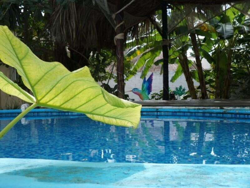 4 Days Yoga, Snorkel and Horseback Riding in Cozumel - The Experience in Detail