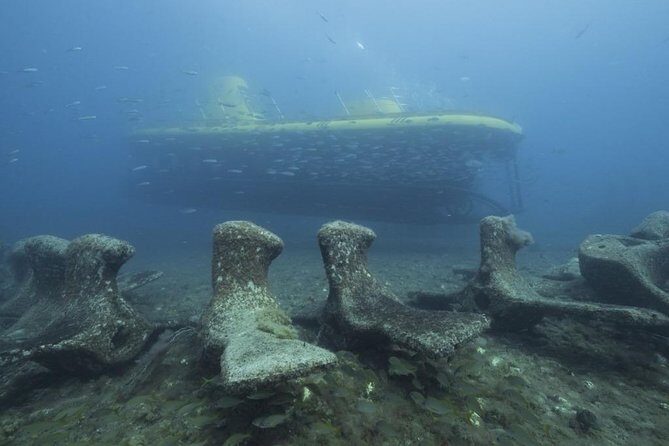 4 Diving Sites Scuba Diving Package in Gran Canaria - A Deep Dive into the Experience