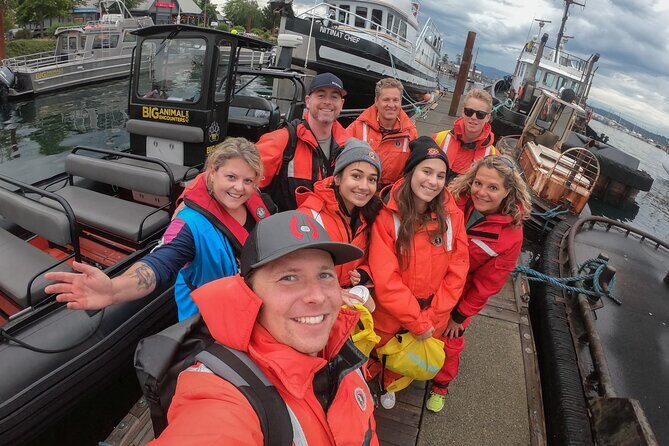 4 Hour Afternoon Whale Watching Tour - Exploring the Experience in Detail