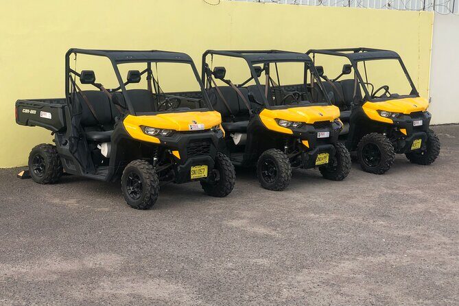 4-Hour Buggy Tour of New Providence (Inclusive of water & local deserts) - Key Points