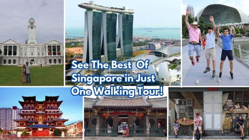4 hour Chinatown, Civic District to Marina Bay Walking Tour - Why This Tour Works for You