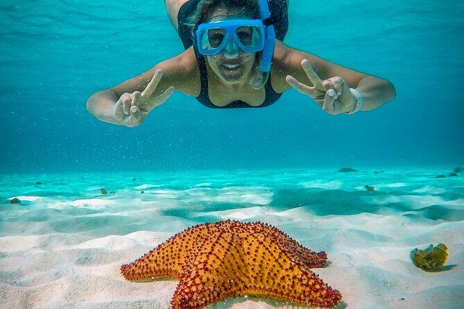 4 Hour Cozumel Reefs Snorkeling - Key Points