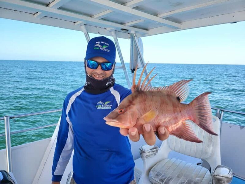 4 Hour Deep Sea Up to 9 Miles - 4 Hour Deep Sea Up to 9 Miles: A Practical Guide to Your Offshore Fishing Adventure