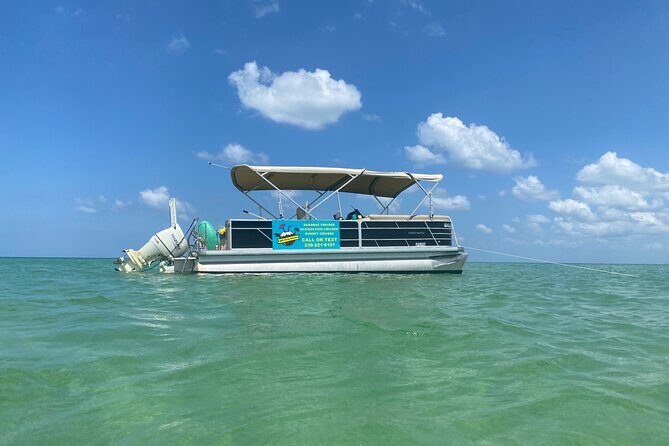4 Hour Dolphin and Sandbar Cruise - Key Points