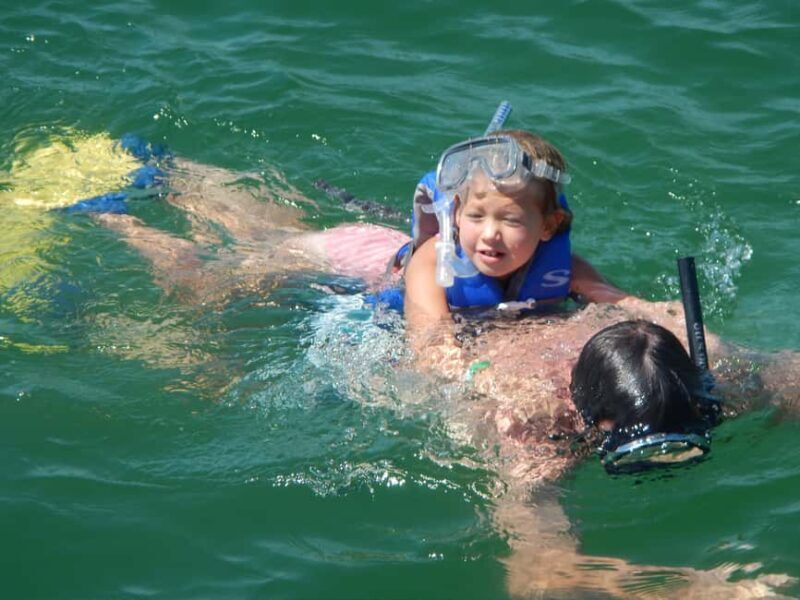 4 Hour Egmont Key Island Tour With Dolphins & Snorkeling - FAQ