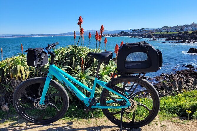 4 hour Electric Bike Rental on 17 Mile Drive - Who Would Love This Tour?