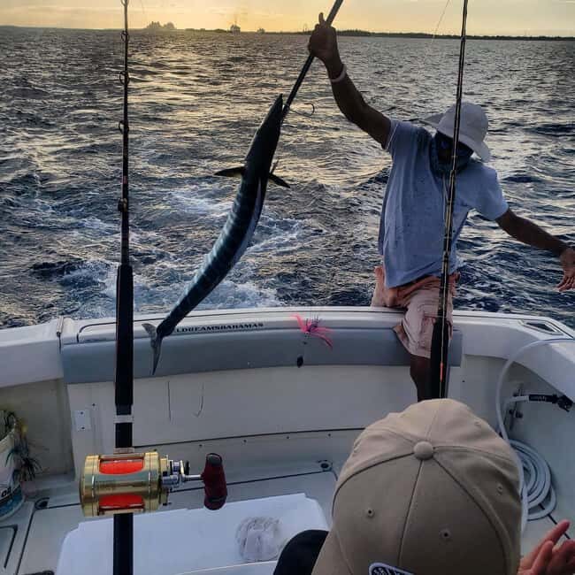 4 hour Fishing or Snorkeling - Why This Tour Offers Great Value