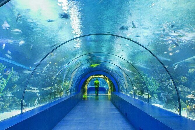4-Hour Guided Antalya Aquarium Tour - Who Will Love This Tour?