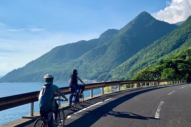 4 Hour Guided Cycling Experience in Yakushima - Is This Tour Right for You?