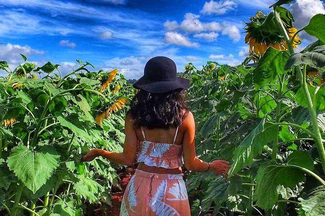 4 Hour Half Day Island Jeep Tour - Key Points