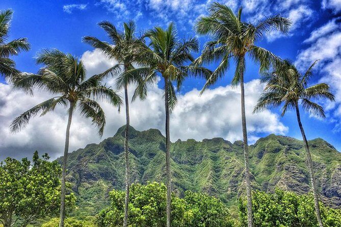 4 Hour Half Day Island Jeep Tour - FAQs