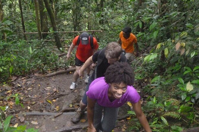 4-Hour Hiking to Gros Piton St Lucia with Tour Guide - Who Should Consider This Tour?