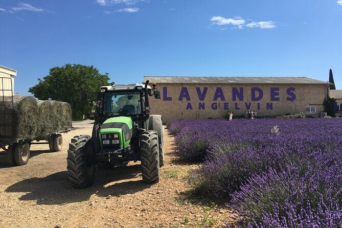 4-Hour Lavender Fields Tour in Valensole from Aix-en-Provence - FAQs