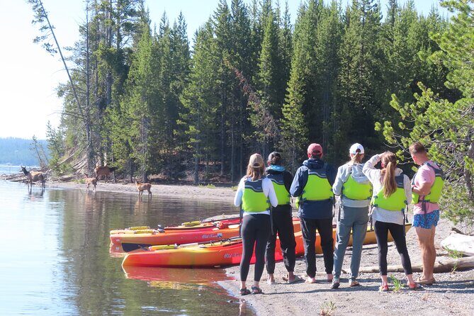 4-Hour Morning Kayak on Yellowstone Lake with Lunch - Equipment and Comfort