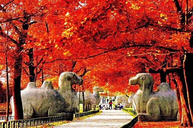 4-Hour Nanjing City Private Tailor-Made Tour in Your Way - Who Will Love This Tour?