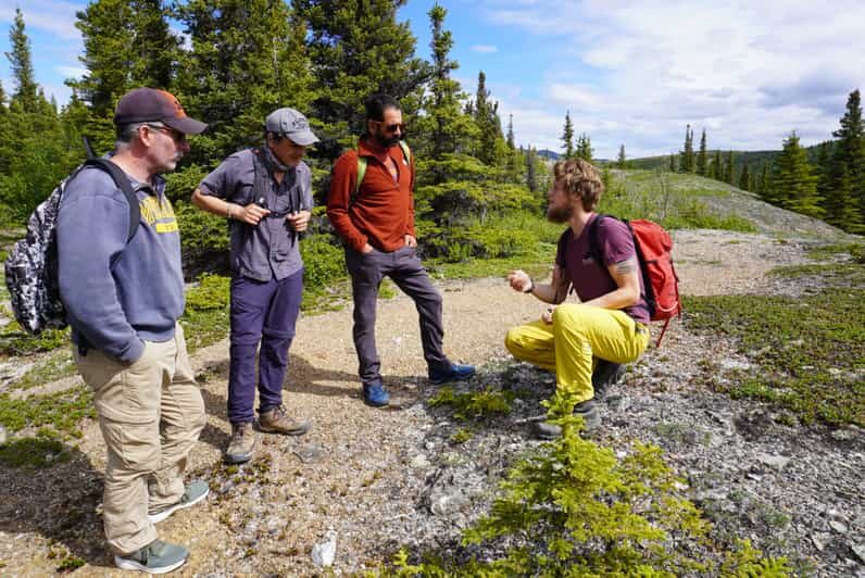 4 Hour Off-Trail Wilderness Wonders Tour in Denali - A Deep Dive into the Wilderness Wonders Tour