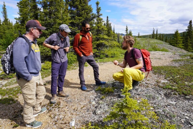 4 Hour Off-Trail Wilderness Wonders Tour in Denali - FAQs