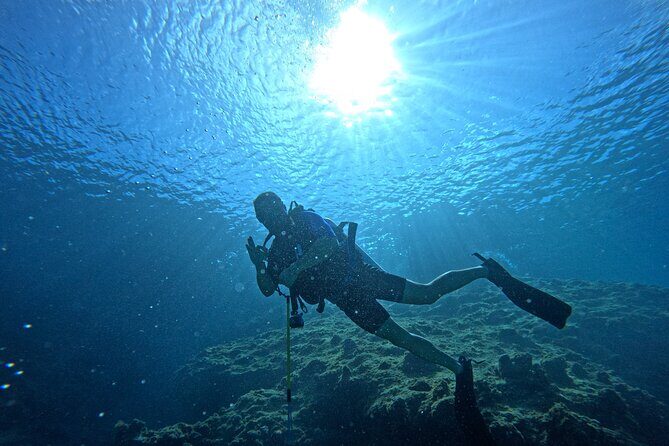 4 Hour Private Activity, Two Tank Diving in San Andres - Who Will Benefit Most?