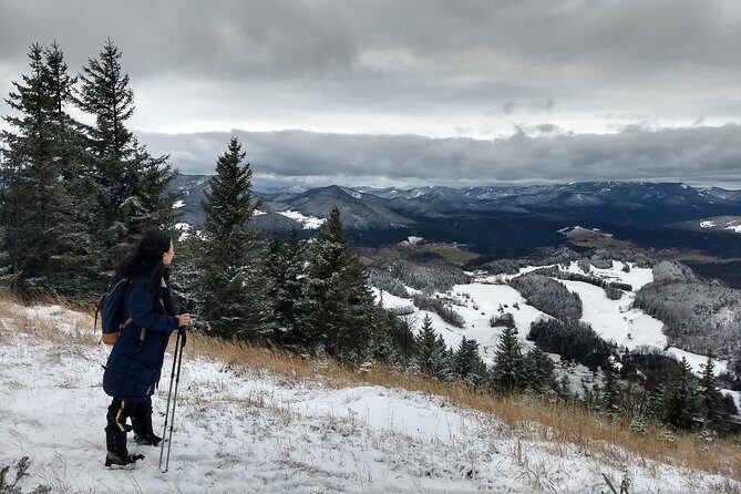 4-Hour Private Alpine Great George at High Wall Mountain from Vienna - Discover the Hidden Beauty of Austria’s Hohe Wand with a Private Mountain Hike