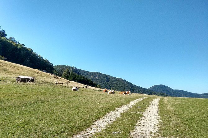 4-Hour Private Alpine Hiking Tour 'Matterhorn of the Prealps' - What to Expect on the Gaisstein Hike