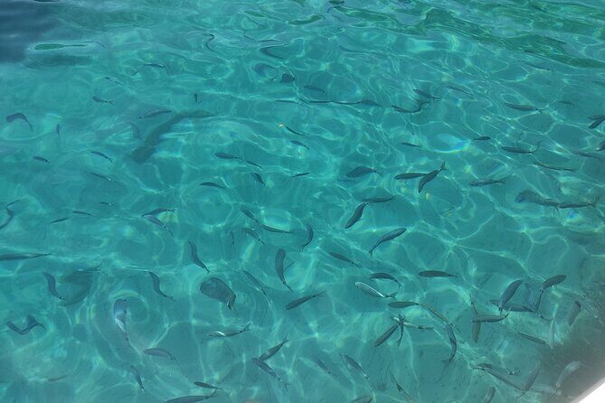 4-Hour Private Boat Tour in Corfu - Who Should Book This Experience?