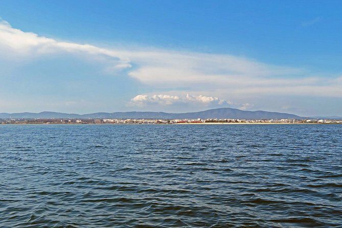 4-Hour Private Boat Tour in Ria Formosa - Key Points