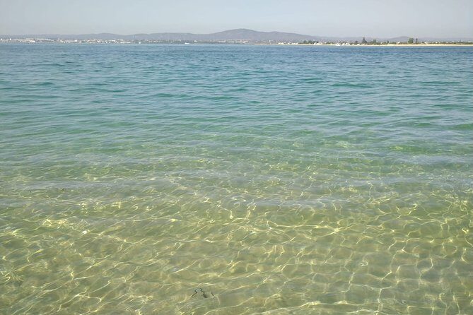 4-Hour Private Boat Tour in Ria Formosa - A Close Look at the 4-Hour Private Boat Tour in Ria Formosa