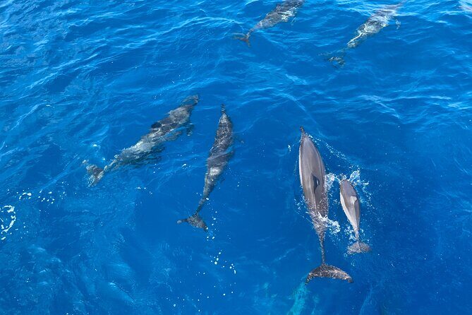4-Hour Private Charter Adventures in Kona Coast - Final Thoughts